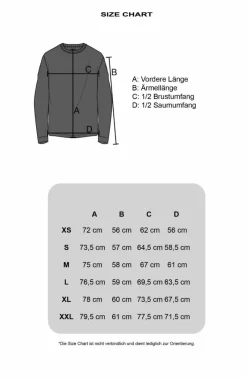 Sweater<Dropsize Heavy Longsleeve Washed Grey