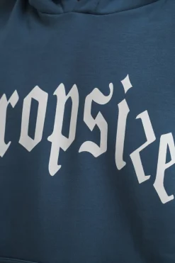 Hoodie<Dropsize Logo Design Hoodie China Blue