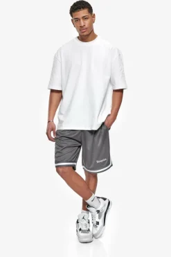 Shorts<Dropsize Logo Mesh Short Steel Grey