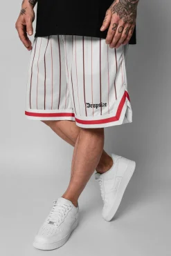 Shorts<Dropsize Logo Stripe Mesh Short White