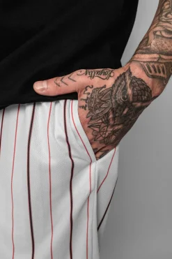 Shorts<Dropsize Logo Stripe Mesh Short White